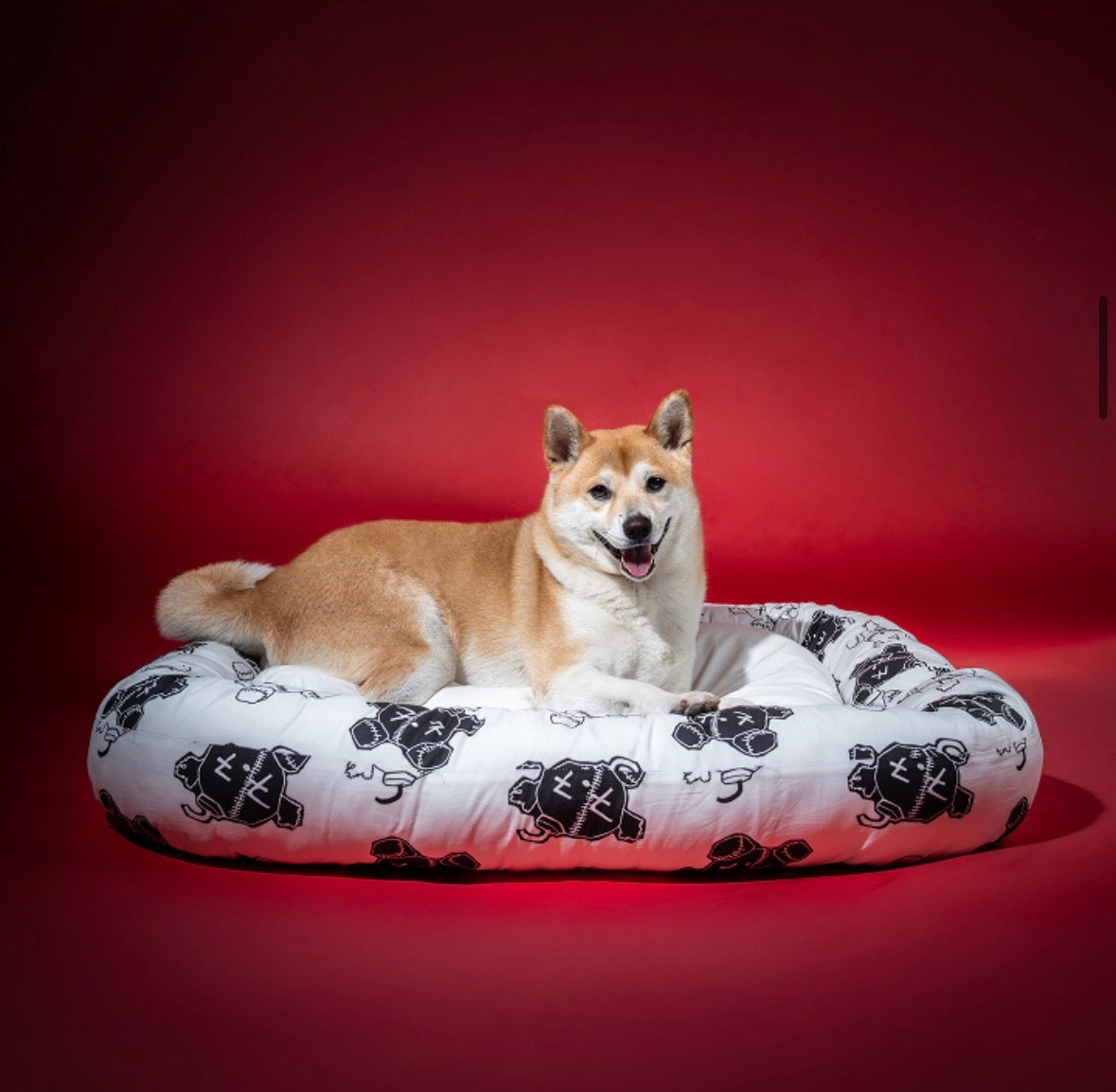 BTS Las Vegas pop up pet cushion