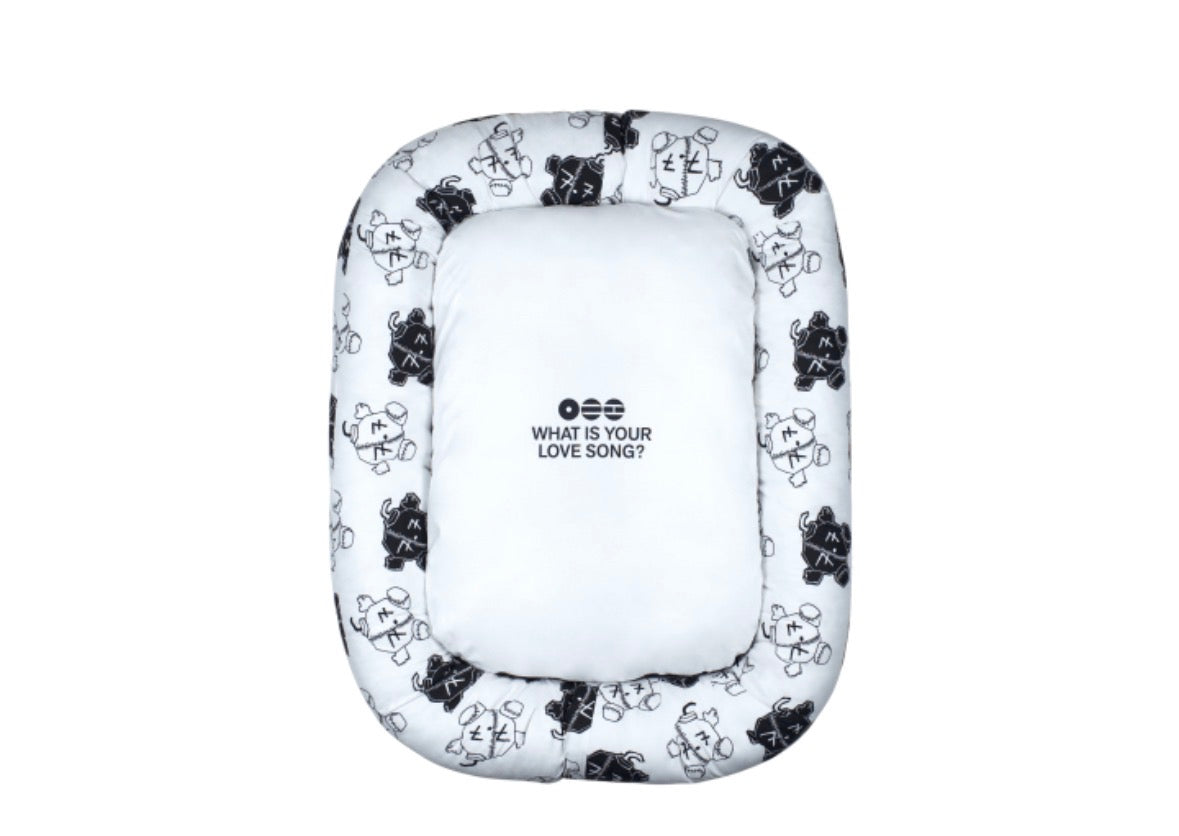 BTS Las Vegas pop up pet cushion