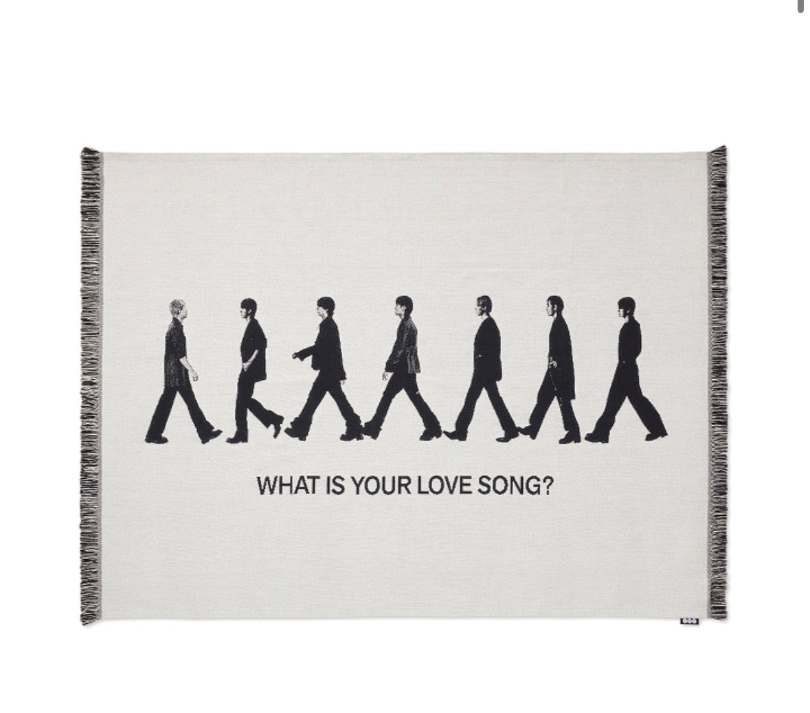 BTS WIYLS Blanket